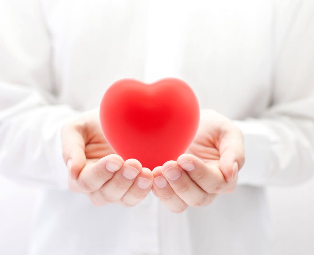 doctor holding toy heart